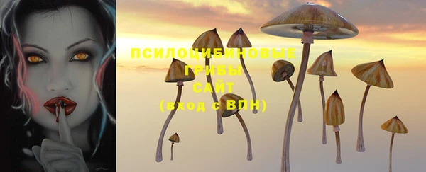 ПСИЛОЦИБИНОВЫЕ ГРИБЫ Абдулино
