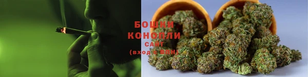 ПСИЛОЦИБИНОВЫЕ ГРИБЫ Абдулино