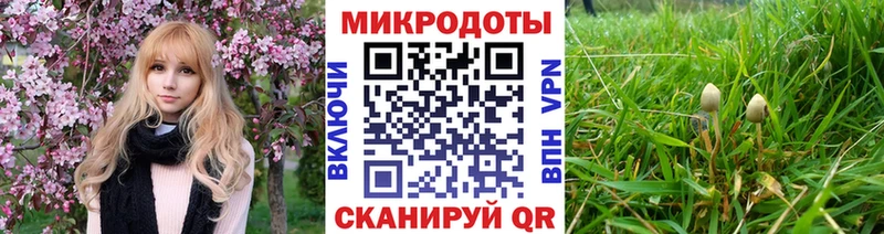 mega ссылки  наркотики  Троицк  Галлюциногенные грибы Magic Shrooms 